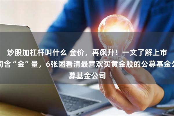 炒股加杠杆叫什么 金价，再飙升！一文了解上市公司含“金”量，6张图看清最喜欢买黄金股的公募基金公司