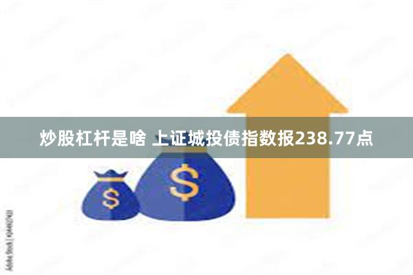炒股杠杆是啥 上证城投债指数报238.77点