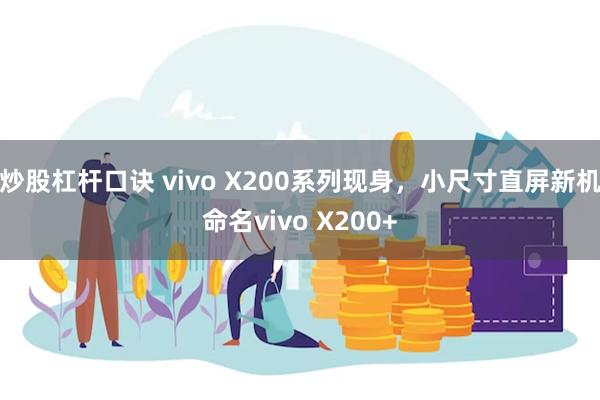 炒股杠杆口诀 vivo X200系列现身，小尺寸直屏新机命名vivo X200+