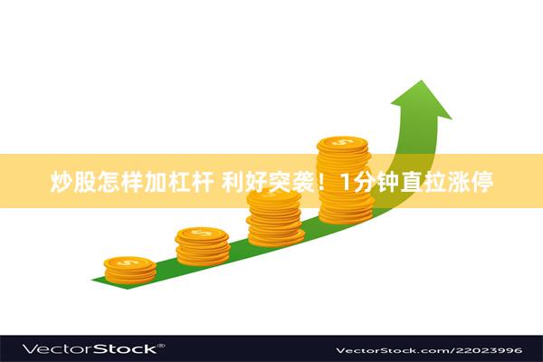 炒股怎样加杠杆 利好突袭！1分钟直拉涨停