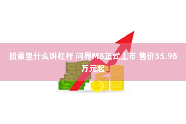股票里什么叫杠杆 问界M8正式上市 售价35.98万元起