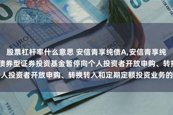股票杠杆率什么意思 安信青享纯债A,安信青享纯债C: 关于安信青享纯债债券型证券投资基金暂停向个人投资者开放申购、转换转入和定期定额投资业务的公告