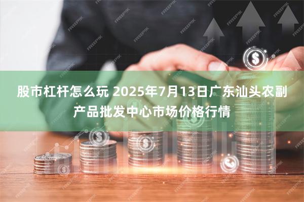 股市杠杆怎么玩 2025年7月13日广东汕头农副产品批发中心市场价格行情