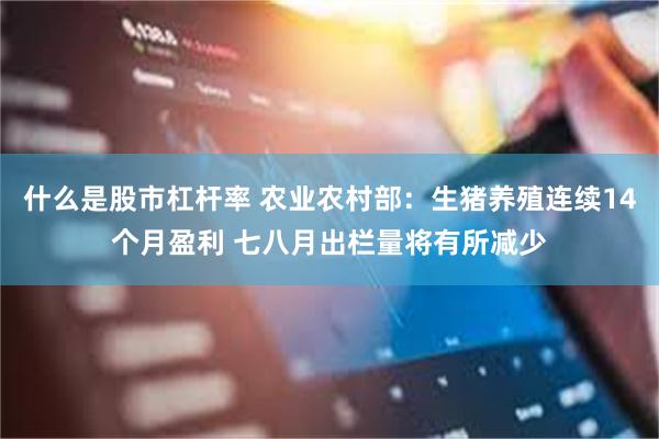 什么是股市杠杆率 农业农村部：生猪养殖连续14个月盈利 七八月出栏量将有所减少
