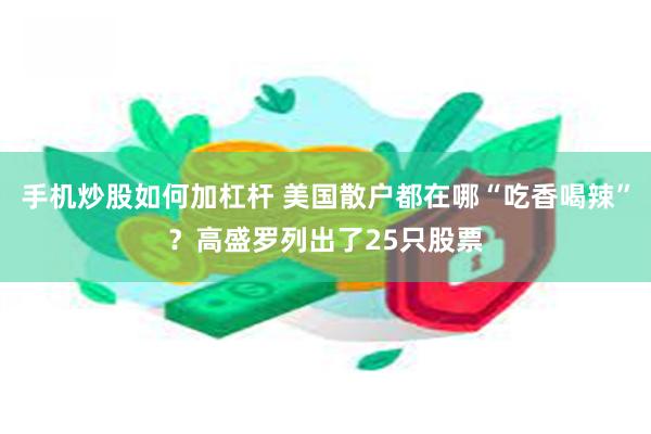 手机炒股如何加杠杆 美国散户都在哪“吃香喝辣”？高盛罗列出了25只股票