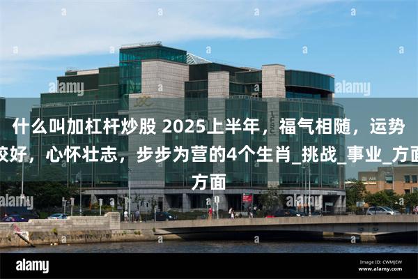 什么叫加杠杆炒股 2025上半年，福气相随，运势较好，心怀壮志，步步为营的4个生肖_挑战_事业_方面
